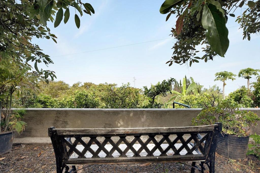 Punta Del Sol Vista Al Atlantico * Tijarafe
