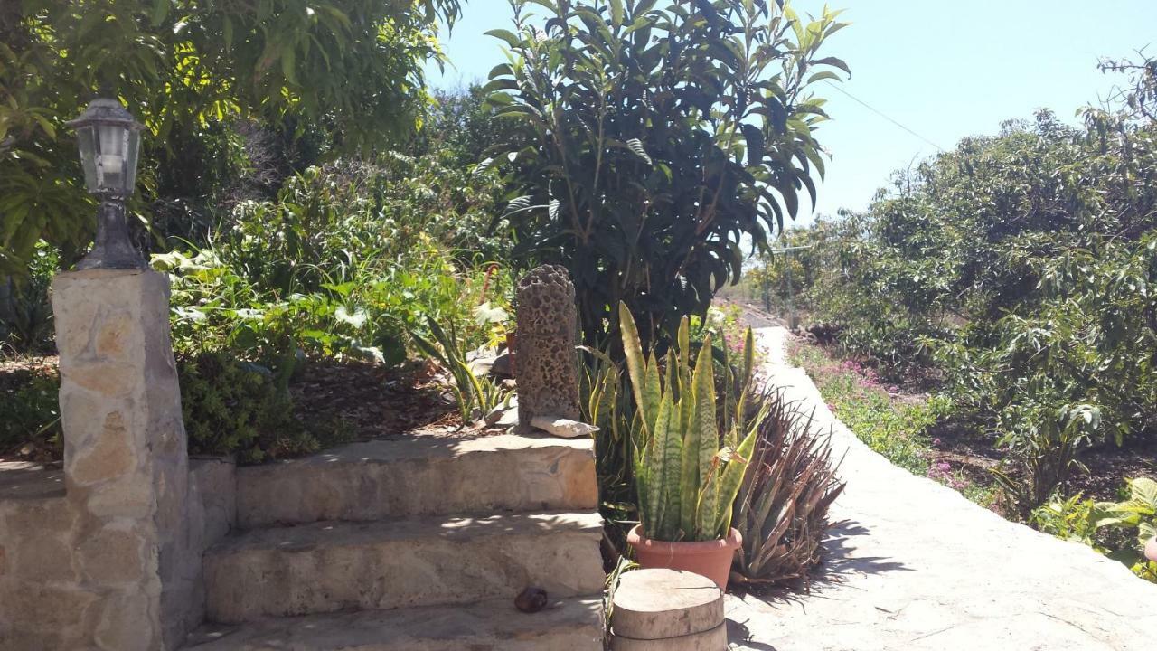 Punta Del Sol Vista Al Atlantico *